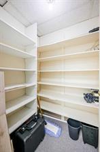 In Unit storage closet
