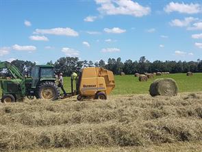 Ag income from Hay production or rental
