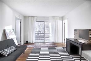 Unit #1 - living. Comes fully furnished.