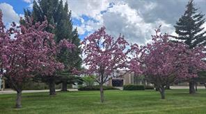 1601 15 Avenue  For Lease