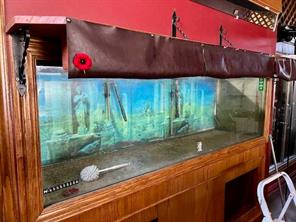 Acquarium