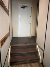 Back door