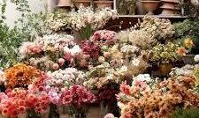 2114 54 Avenue SW For Sale