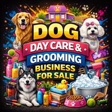 Animal Grooming For Lease
