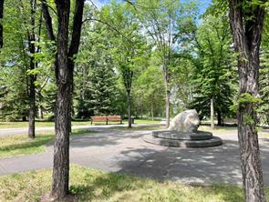 Community Photo - Nature Steps Away