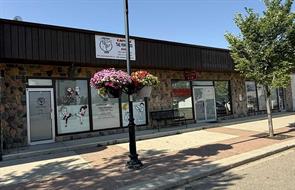 Auto Repair-Specialty,Auto Service,Child Care,Church,Computer,Electronics,Food & Beverage ,Gift Shop ,Hobby,Paint  For Sale