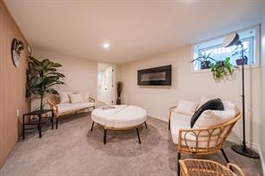 Basement Suite Living Area