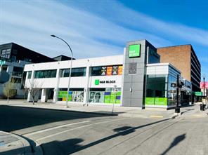 Basement, 1029 17 Avenue SW For Lease