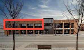 Mixed,Professional Service,Professional/Office For Lease