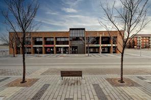 Mixed,Professional Service,Professional/Office For Lease