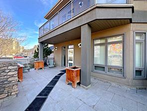 102, 10110 Fraser Avenue  For Lease