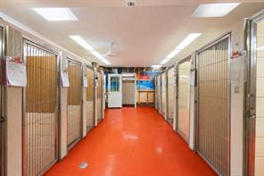 Kennels