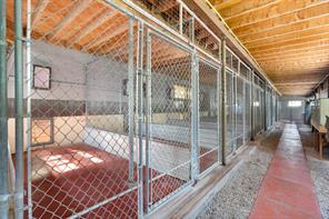 Cattery